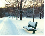 A snow-covered bench by the Mystic Lakes after one of last yearâ€™s storms. Photo by Paul Rapatano.