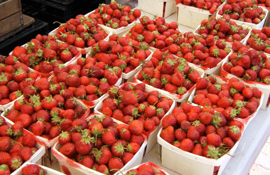 Strawberries from Busa Farm