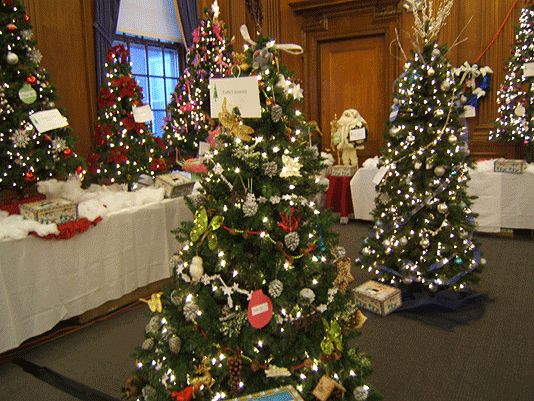 Christmas trees on display