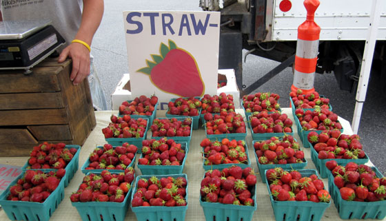 Warner Farm strawberries