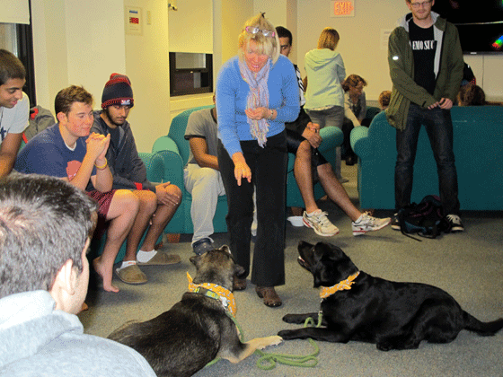 therapy dogs at Tufts