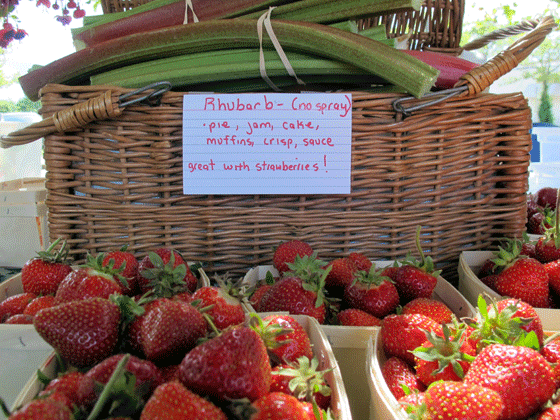 Strawberries from Brigham Farm