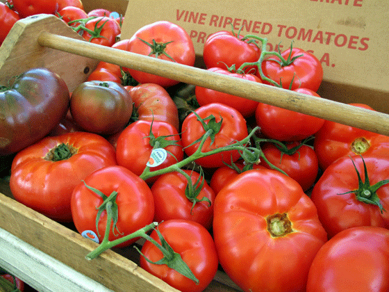 Tomatoes from Spring Brook Farm