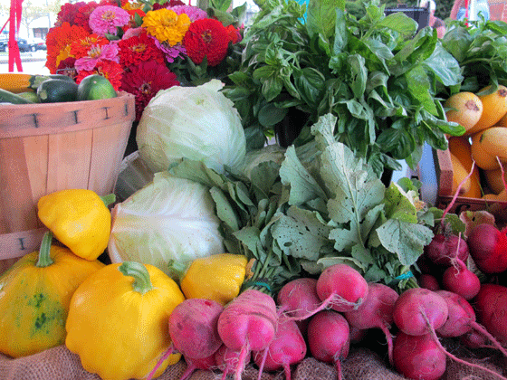 Colorful offerings from Brigham Farm