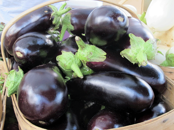 eggplant