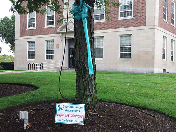 teal ribbon outside City Hall