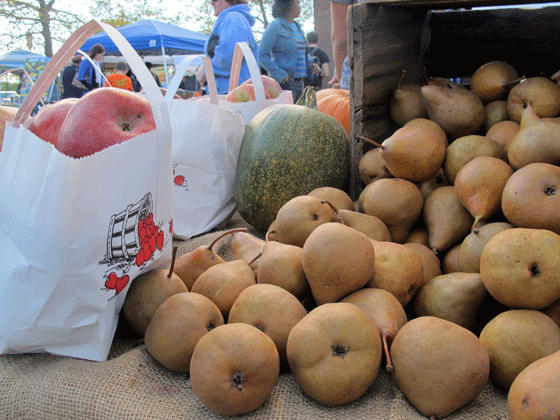 Spring Brook Farms