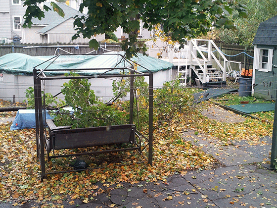 branch down in yard