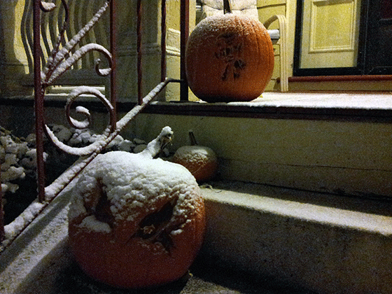 Pumpkins in the snow