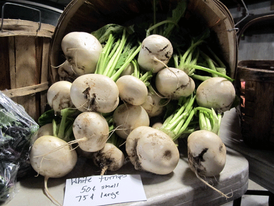 turnips