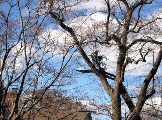 movie filming in Medford