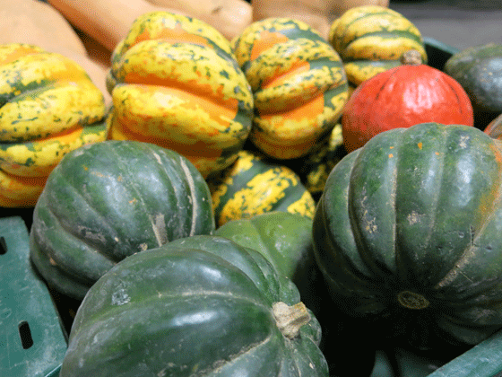 squash