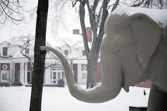 Tufts Jumbo in snow