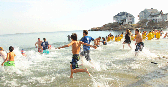 Medford Rotarians take the plunge