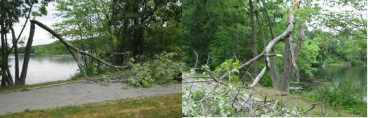 Arlington storm damage