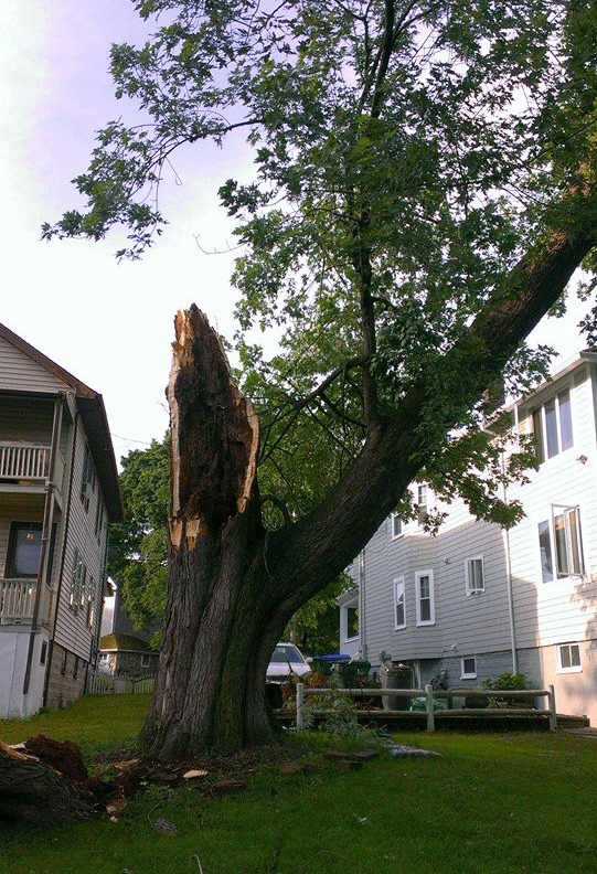 storm damage