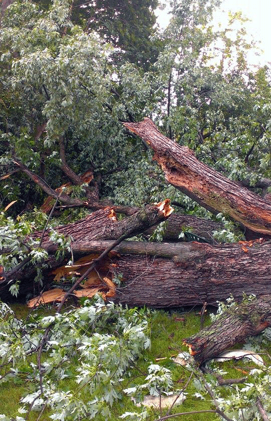 storm damage