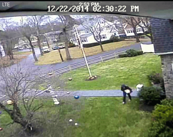 alleged package thief