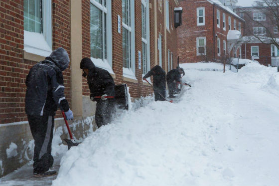 people shovelling