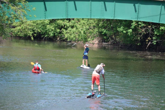 Mystic River Herring Run and Paddle 2014