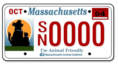 Pet friendly license plate