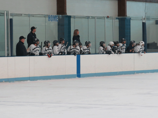 Lady Mustang hockey team